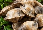 Almejas